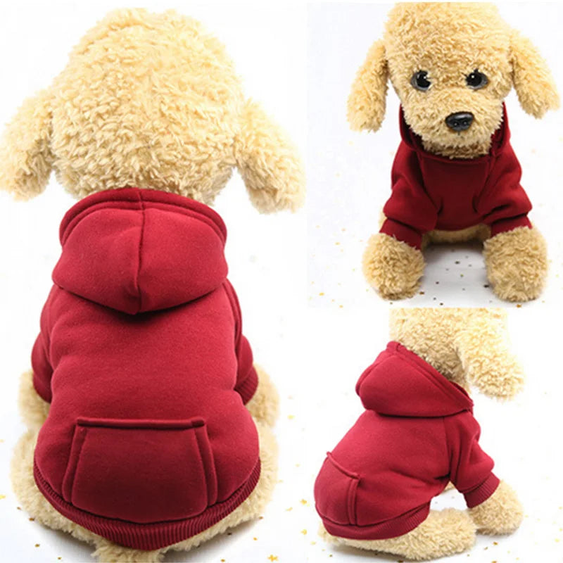 Basic Dog Hoodie Sweatshirt | Soft Warm Pullover in Multiple Colors for Small Medium Dogs | Everyday Puppy Clothes Chihuahua Frenchie