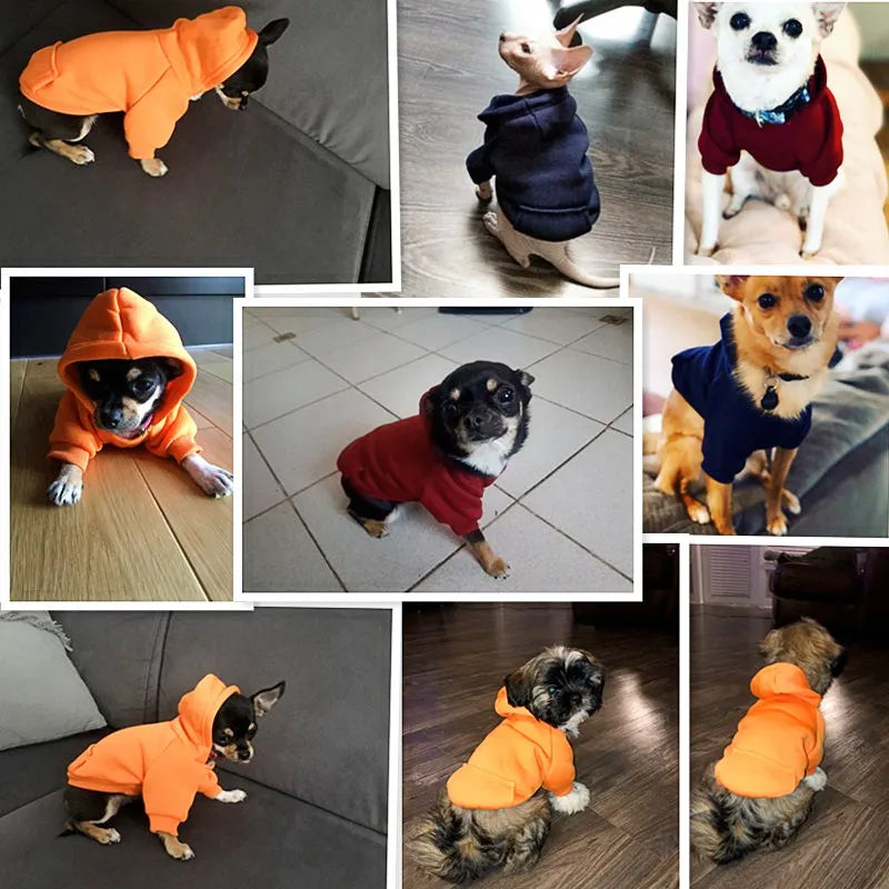 Basic Dog Hoodie Sweatshirt | Soft Warm Pullover in Multiple Colors for Small Medium Dogs | Everyday Puppy Clothes Chihuahua Frenchie