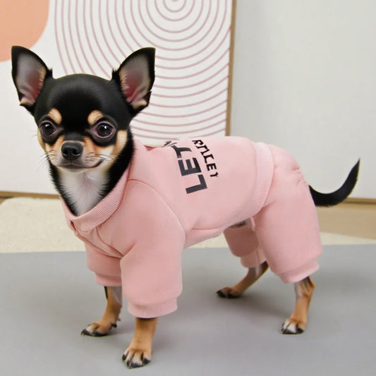 Let's Go Dog Hoodie Sweatshirt | Trendy Graphic Pullover for Small Medium Dogs | Cute Puppy Clothes Chihuahua Frenchie Poodle