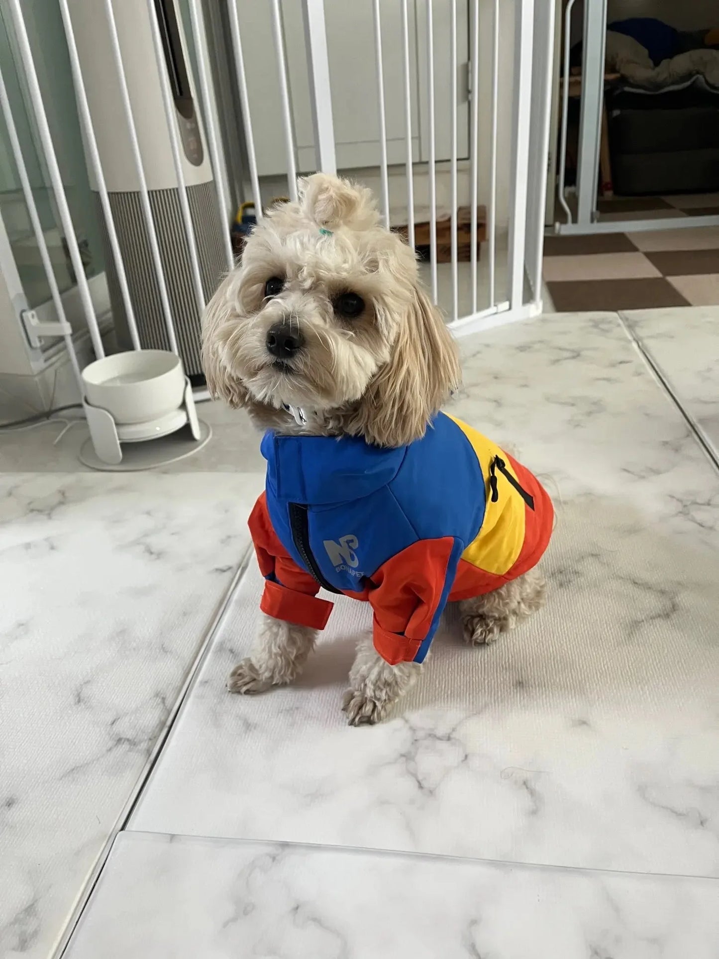 New Pet Dog Waterproof Jacket Hooded Dogs Cats Raincoat Dog Sport Hoodies Pet Fashion Coat Winter Warm Clothes