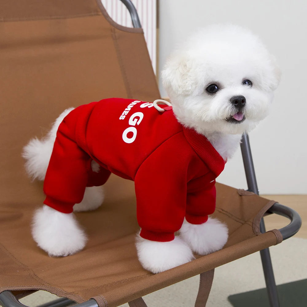 Let's Go Dog Hoodie Sweatshirt | Trendy Graphic Pullover for Small Medium Dogs | Cute Puppy Clothes Chihuahua Frenchie Poodle