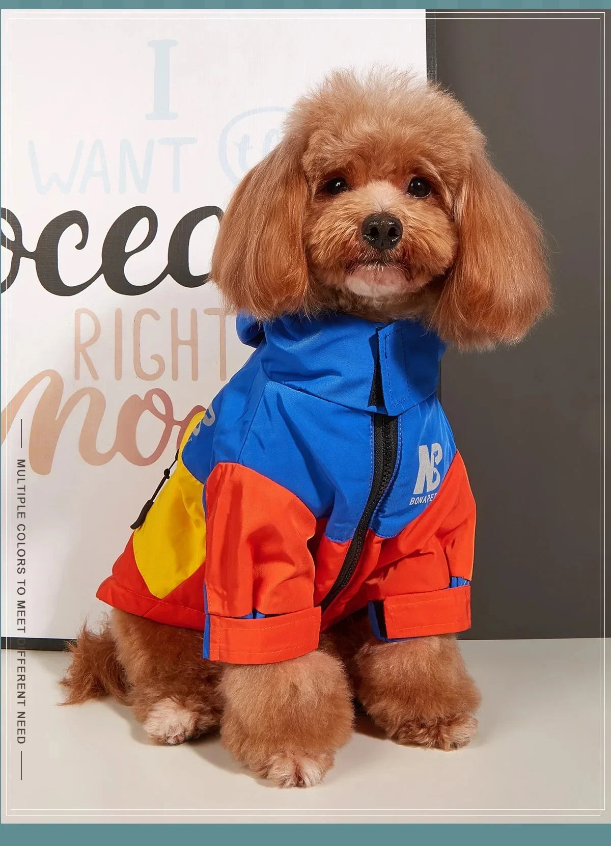 New Pet Dog Waterproof Jacket Hooded Dogs Cats Raincoat Dog Sport Hoodies Pet Fashion Coat Winter Warm Clothes
