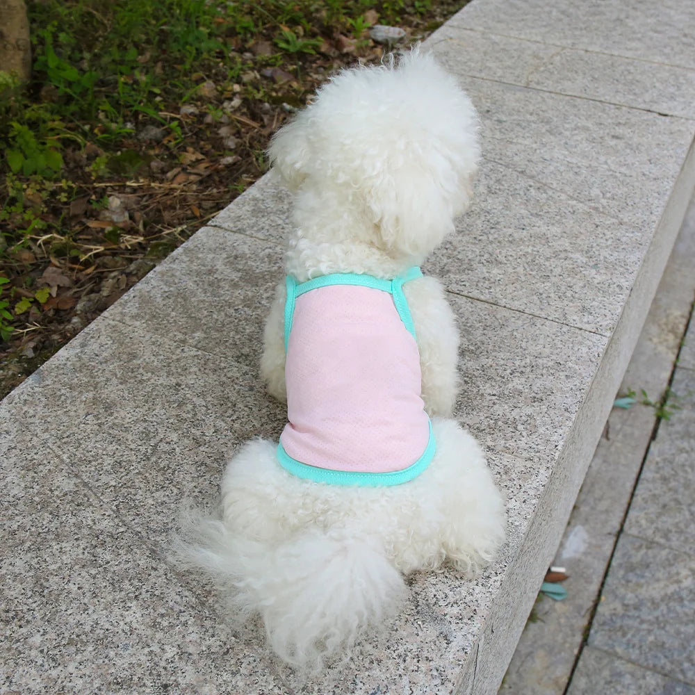 Pastel Rainbow Dog Tank Top | Breathable Summer Vest for Small Dogs | Cute Pet Shirt