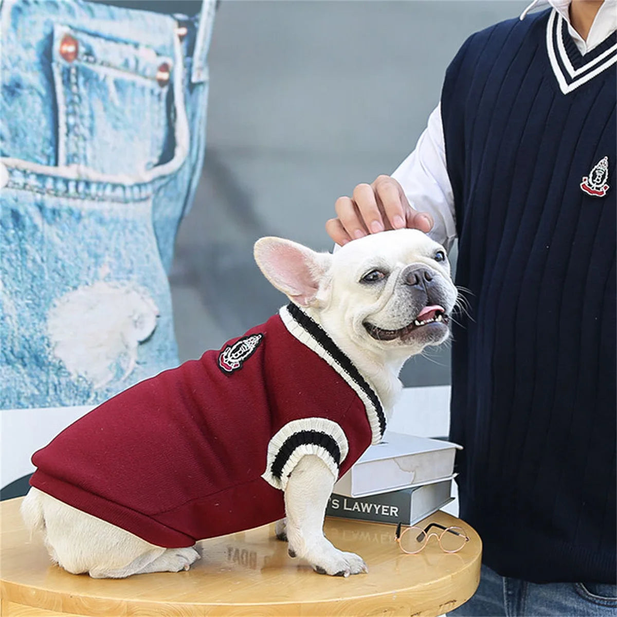 Varsity Dog Sweater Vest | Preppy Collegiate Style Pullover for Small Medium Dogs | French Bulldog Pug Chihuahua Fall Winter Clothes