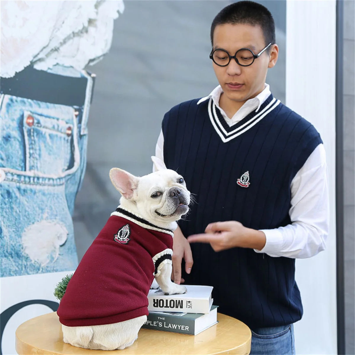 Varsity Dog Sweater Vest | Preppy Collegiate Style Pullover for Small Medium Dogs | French Bulldog Pug Chihuahua Fall Winter Clothes