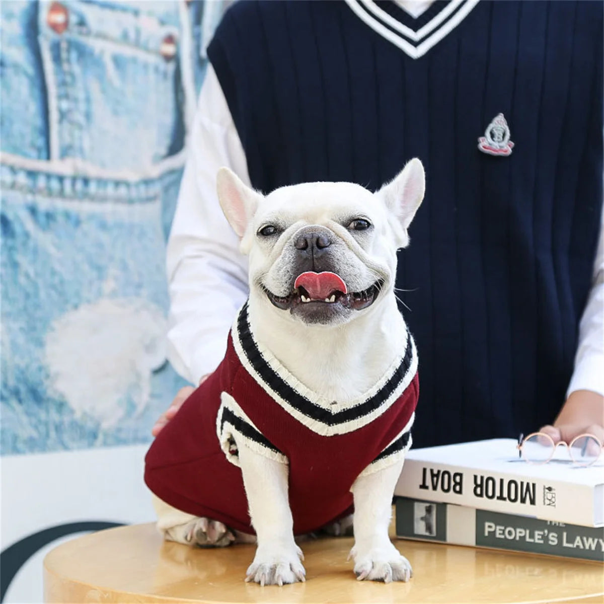 Varsity Dog Sweater Vest | Preppy Collegiate Style Pullover for Small Medium Dogs | French Bulldog Pug Chihuahua Fall Winter Clothes