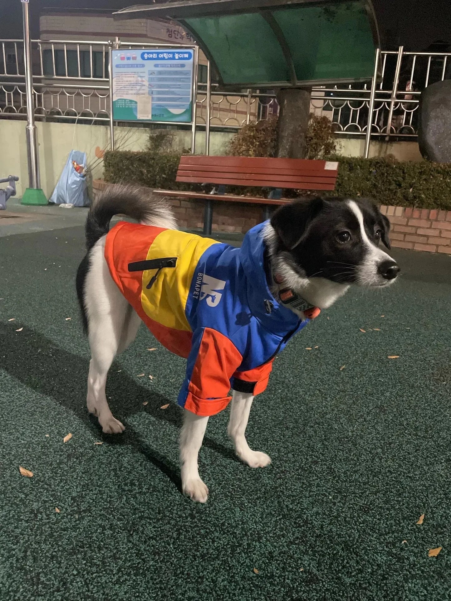 New Pet Dog Waterproof Jacket Hooded Dogs Cats Raincoat Dog Sport Hoodies Pet Fashion Coat Winter Warm Clothes