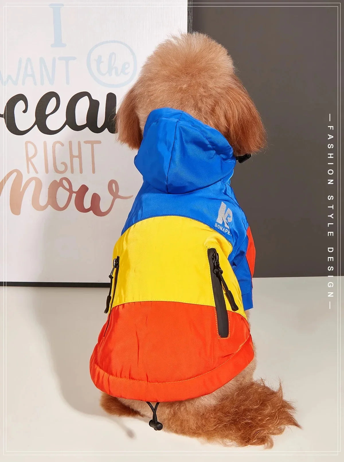 New Pet Dog Waterproof Jacket Hooded Dogs Cats Raincoat Dog Sport Hoodies Pet Fashion Coat Winter Warm Clothes