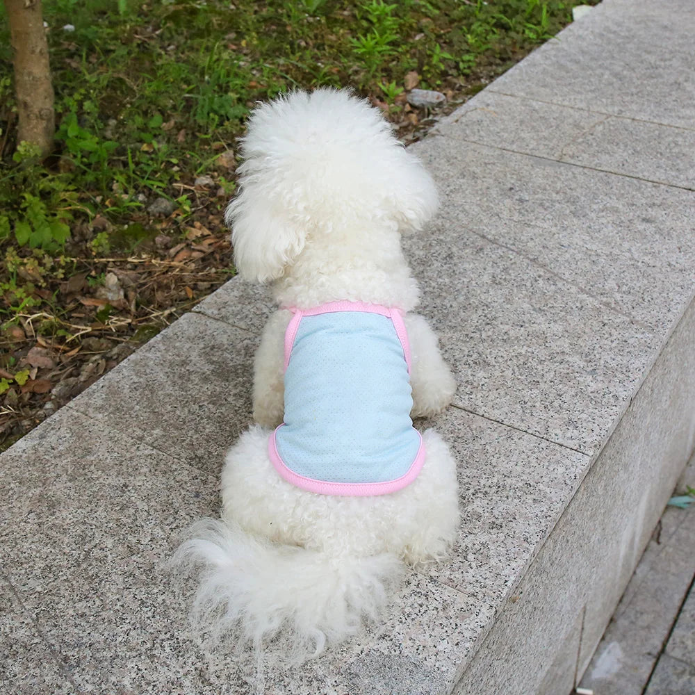 Pastel Rainbow Dog Tank Top | Breathable Summer Vest for Small Dogs | Cute Pet Shirt